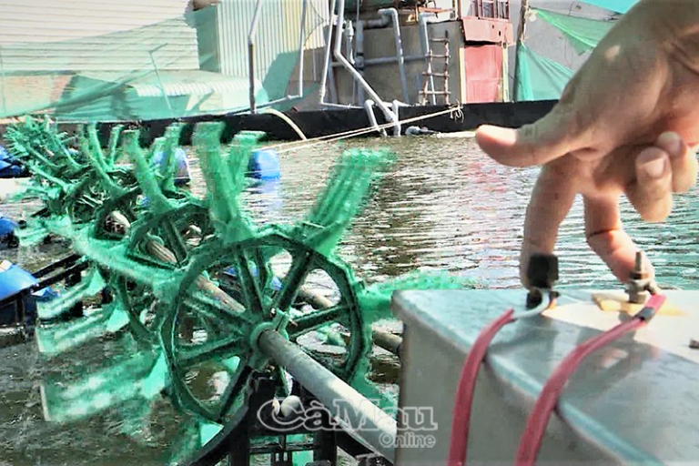 Diện mạo mới Tân Hưng