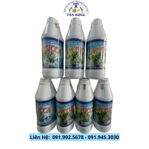 Yucca (Hấp thu khí độc 395k)
