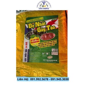Đệ Nhất Gây Tảo