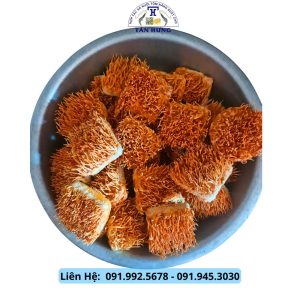 Rượu & Trà Đông trùng hạ thảo