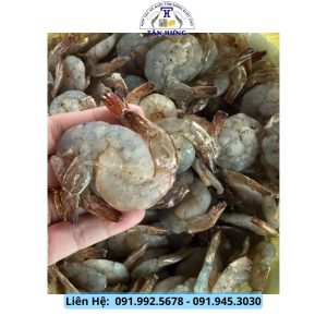Tôm xẻ lụi từ thiên nhiên