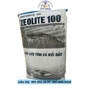 Zeolite 100 100k